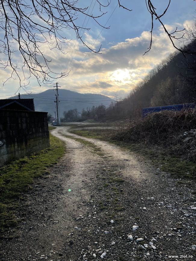 Cand ai telefon bun si iti place sa faci poze | poze haioase