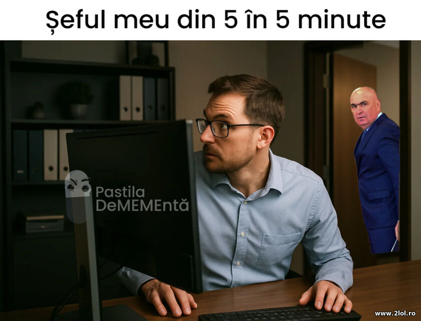 Seful | poze haioase