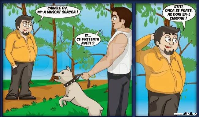 Câinele dumneavoastră mi-a mușcat soacra | poze haioase