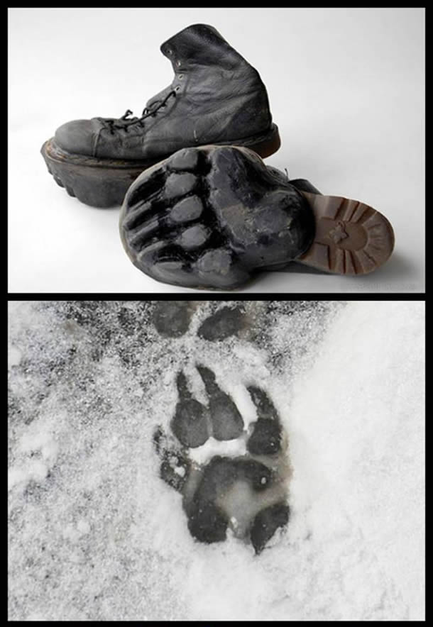 Cum să îți sperii vecinii fără să te vadă | poze haioase