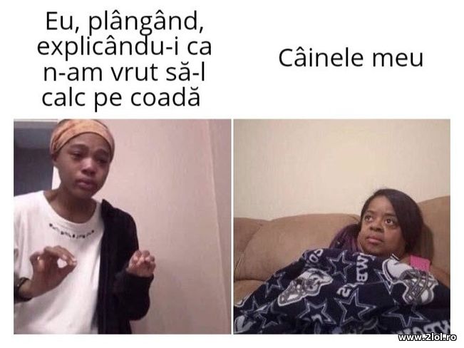 Cand calci cainele pe coada | poze haioase