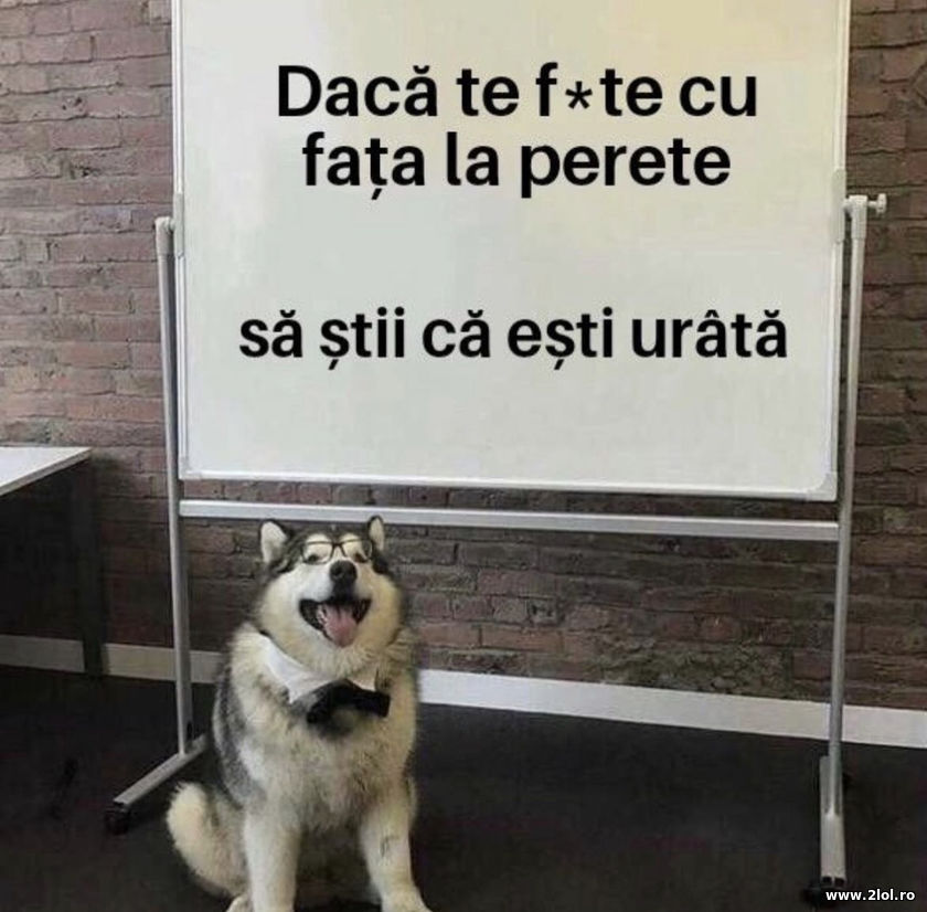 Daca te f-te cu fata la perete | poze haioase