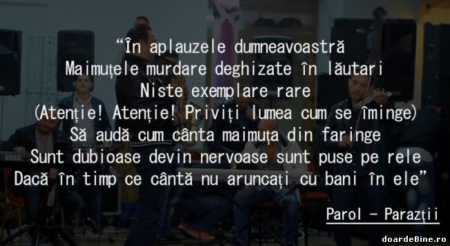 Definiția lăutarilor | poze haioase