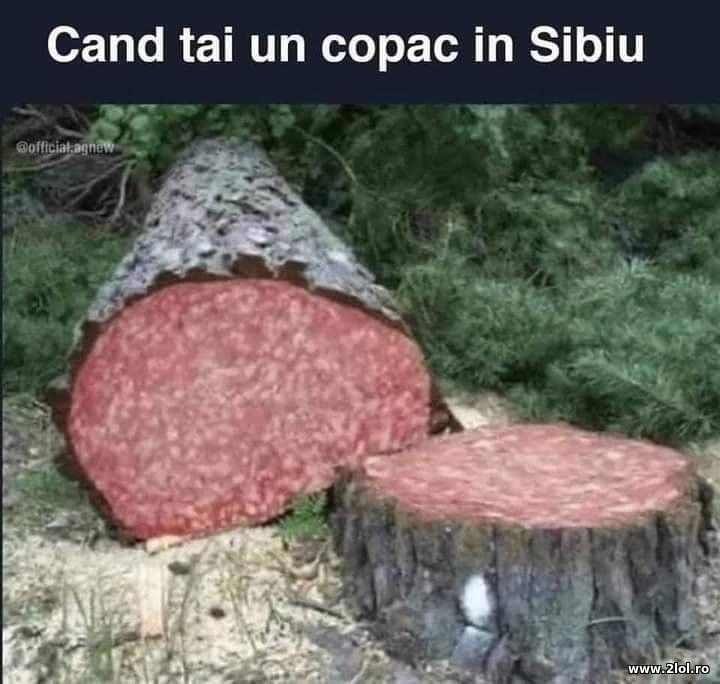 Cand tai un copac in Sibiu | poze haioase