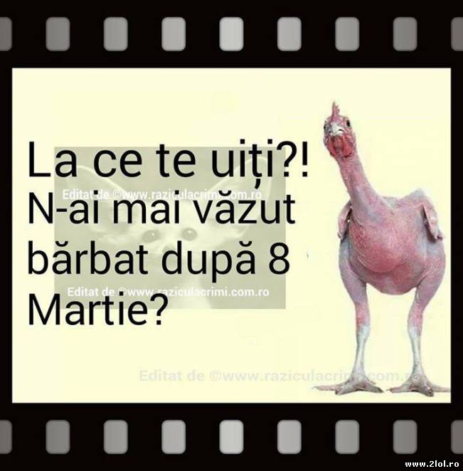 Un bărbatu după 8 martie | poze haioase