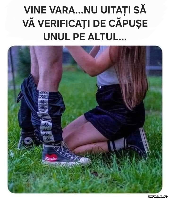 Vine Vara | poze haioase