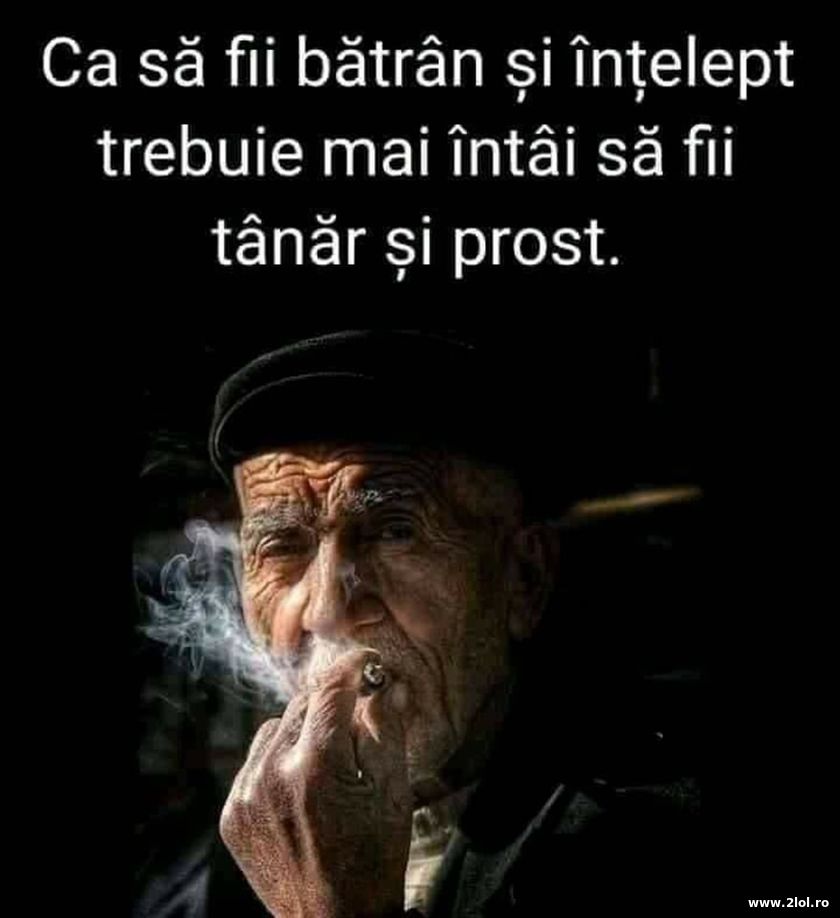 Ca sa fii batran si intelept trebuie mai intai sa | poze haioase