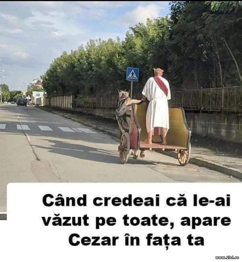 Cand credeai ca le-ai vazut pe toate, apare Cezar | poze haioase