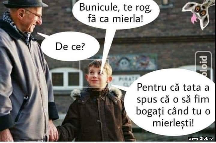 Bunicule, te rog | poze haioase