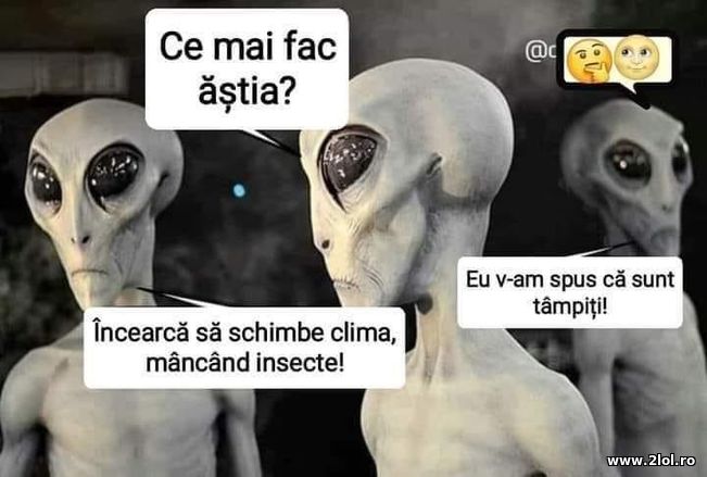 Ce mai fac astia? | poze haioase