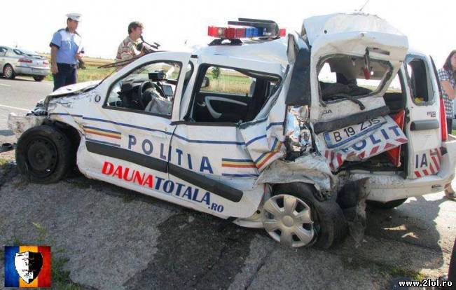 Ce pățesc când se ascund în tufișuri | poze haioase