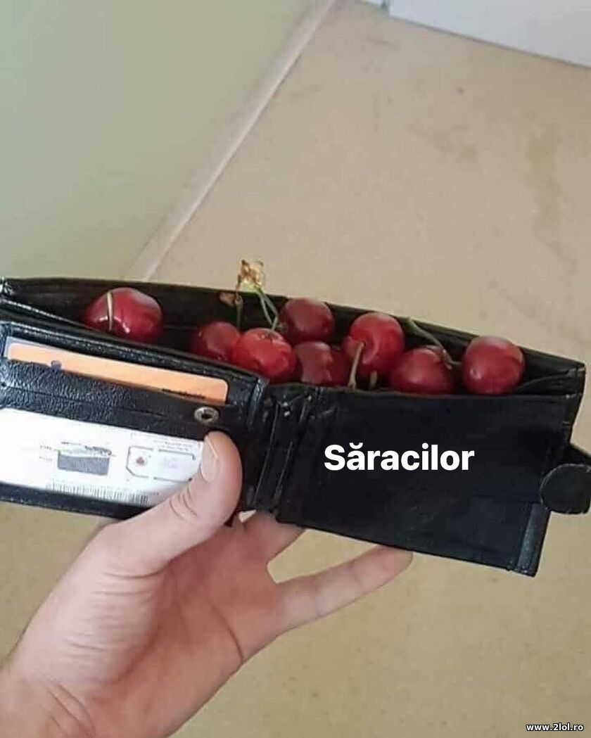 Saracilor | poze haioase