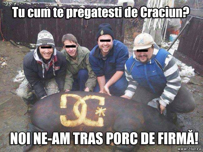 Tu cum te pregăteşti de Crăciun? | poze haioase