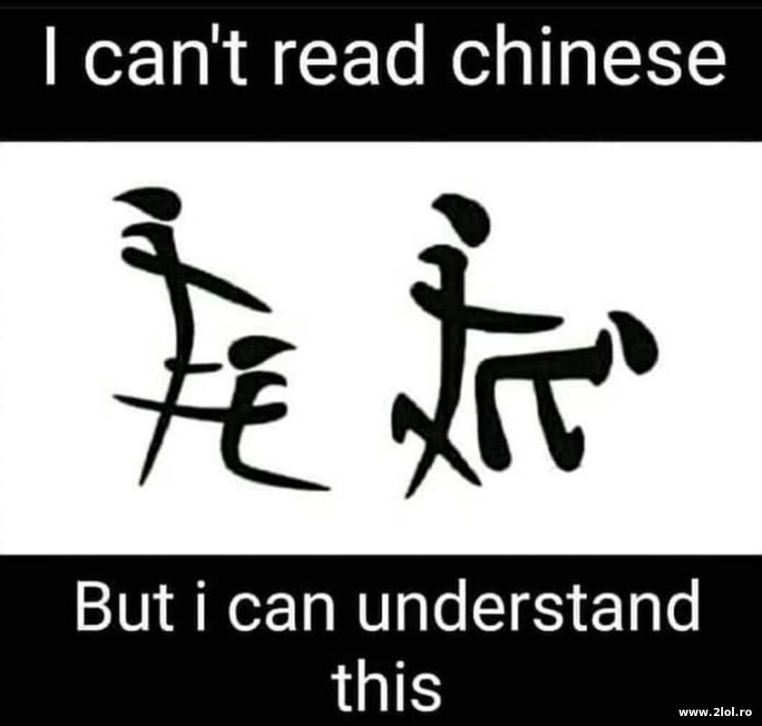 I can understand | poze haioase