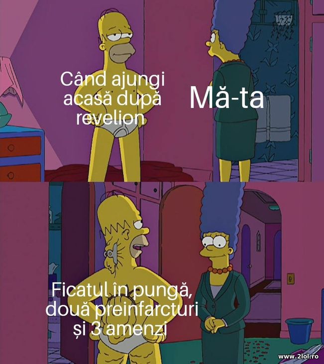 Cand ajungi acasa dupa revelion | poze haioase