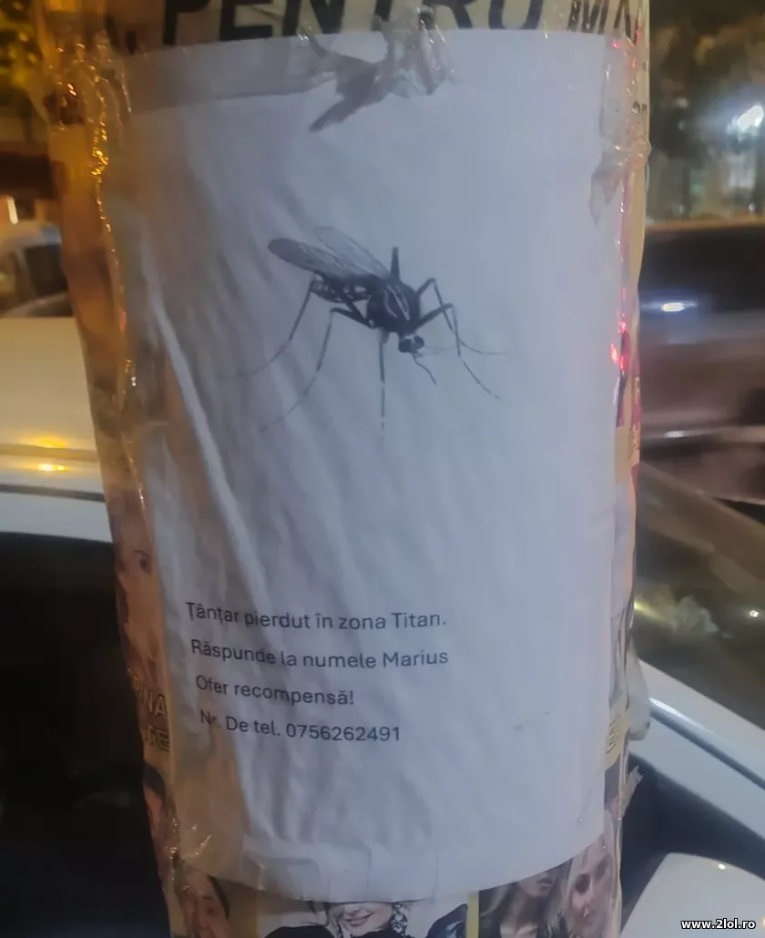 S-a pierdut Marius | poze haioase