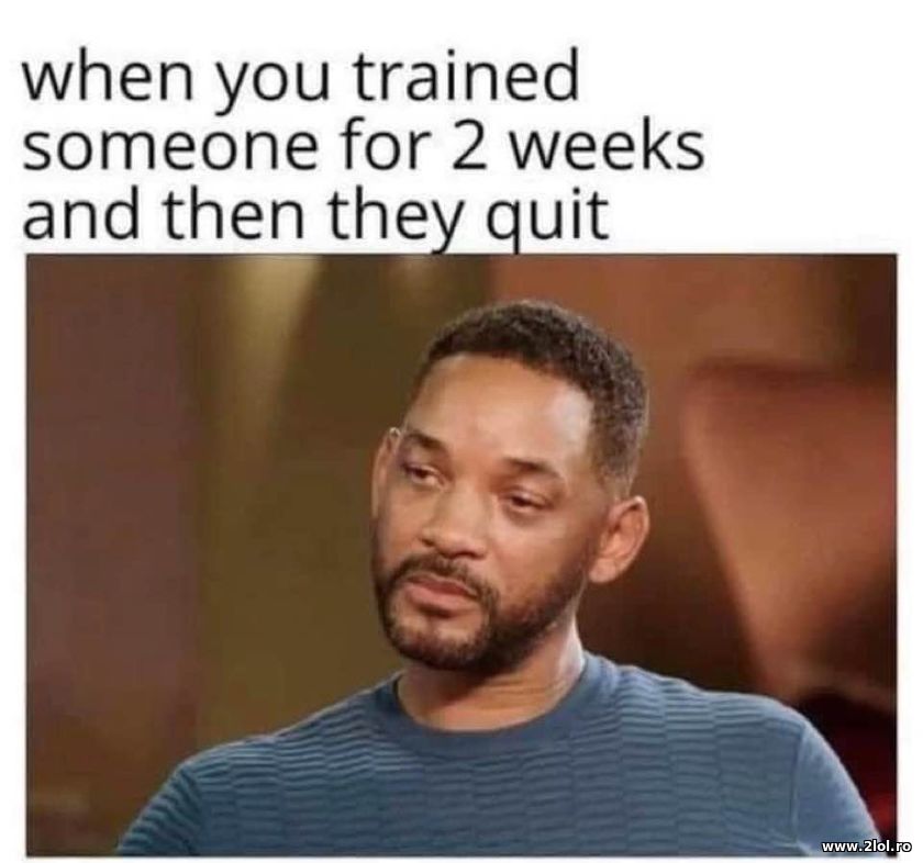 When you trained somebody for 2 weeks and they qu | poze haioase