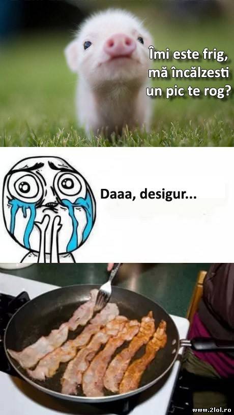 Cum să nu, cu ce mai mare plăcere | poze haioase