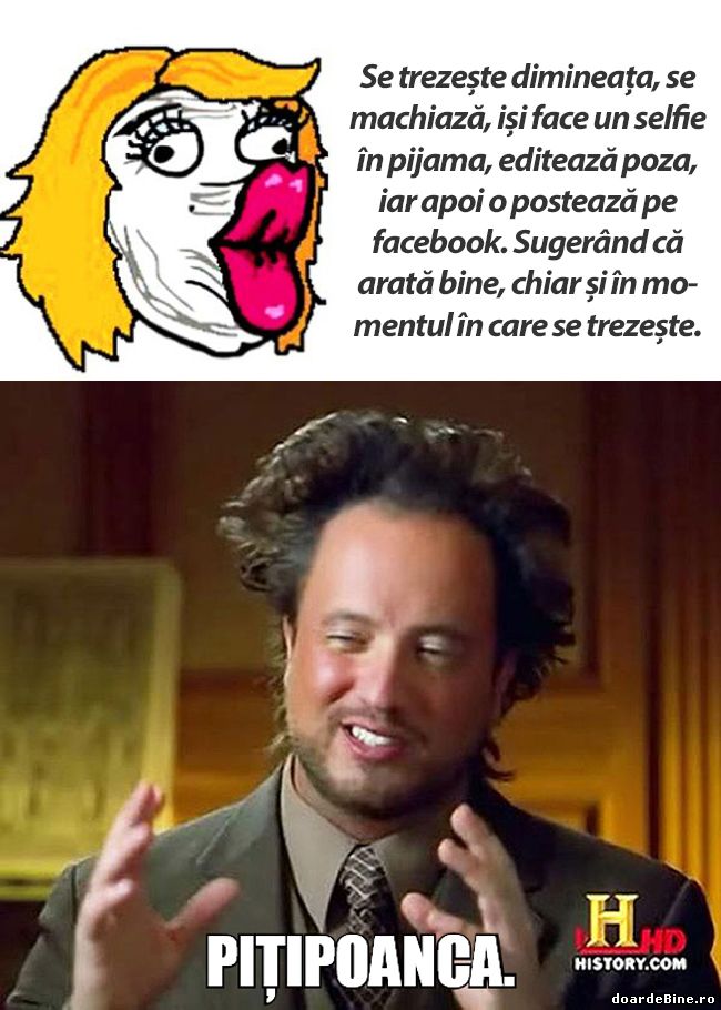 Dimineața unei pițipoance | poze haioase