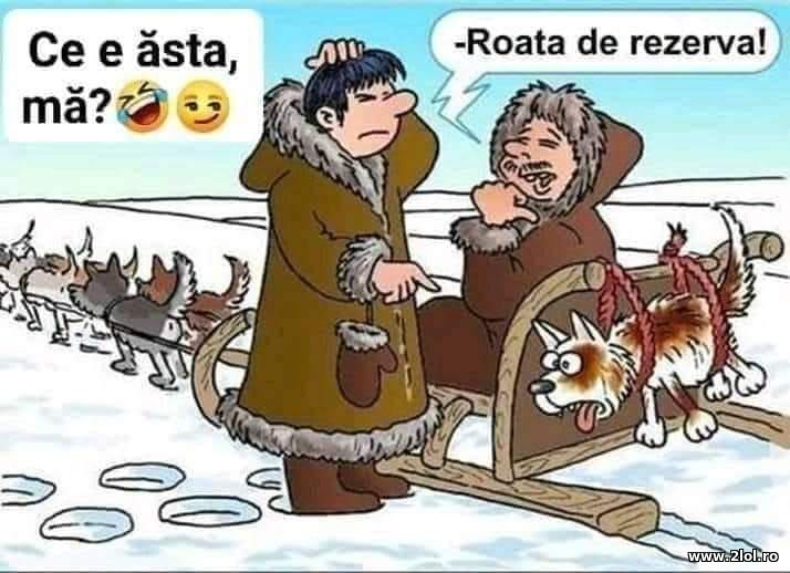Ce e asta ma? Roata de rezerva | poze haioase