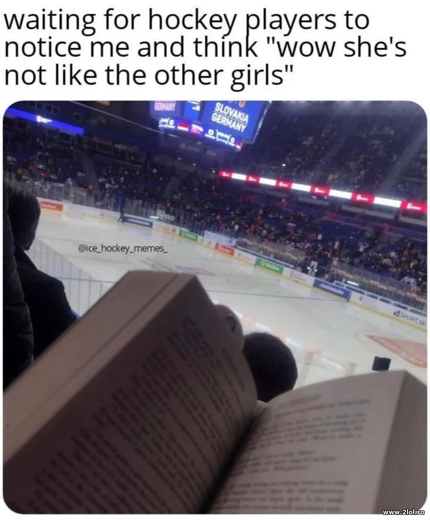 Waiting for hocker players to notice me | poze haioase