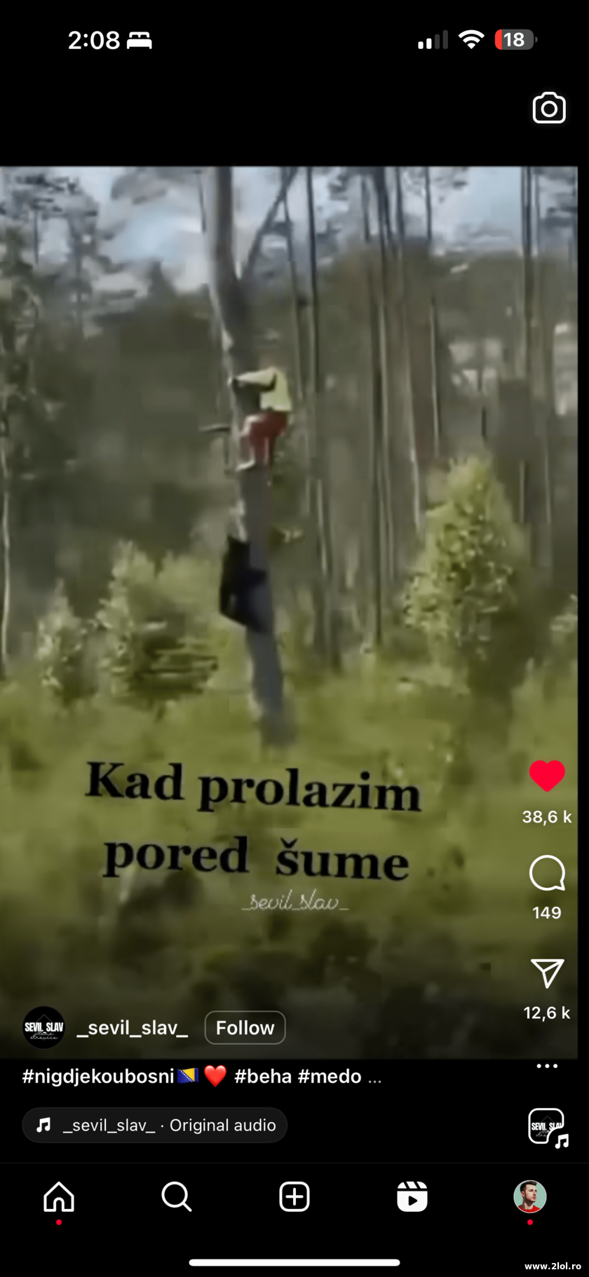 Cand trec langa padure | poze haioase