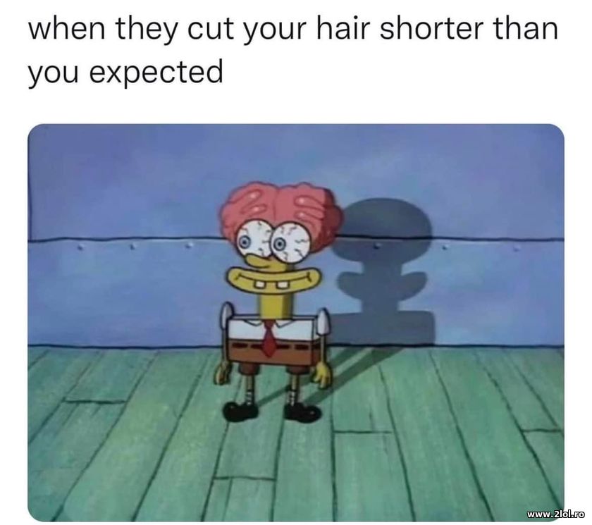 When they cut your hair shorter | poze haioase