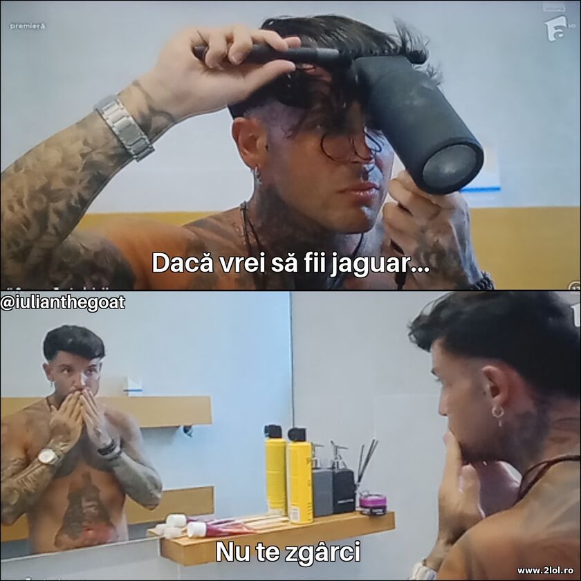 Daca vrei sa fii jaguar | poze haioase