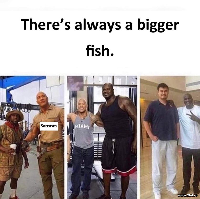 There's always a bigger fish | poze haioase