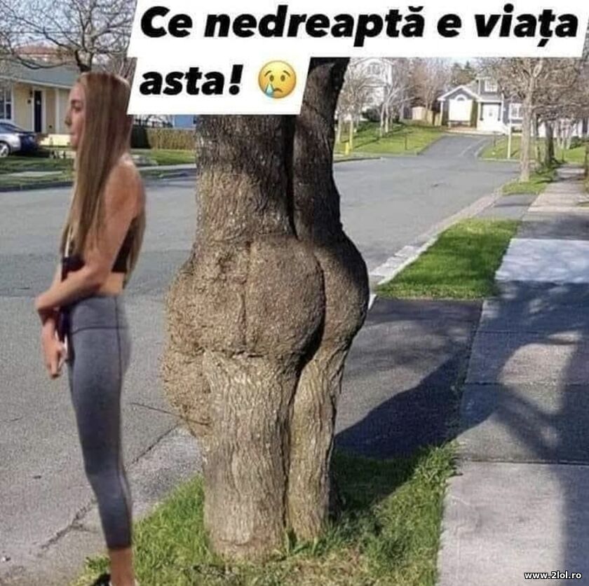 Ce nedreapta e viata | poze haioase