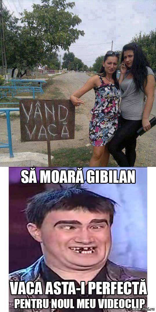 Perfectă pentru noul videoclip al lui Fernando | poze haioase