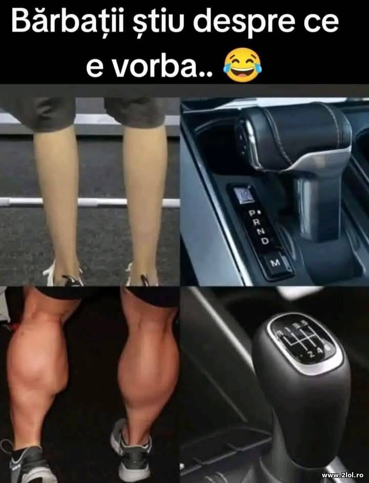 Manual sau automatic | poze haioase