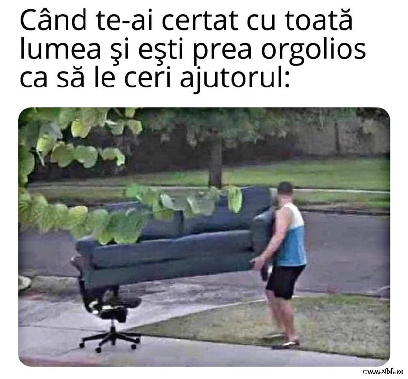 Cand te-ai certat cu toata lumea | poze haioase