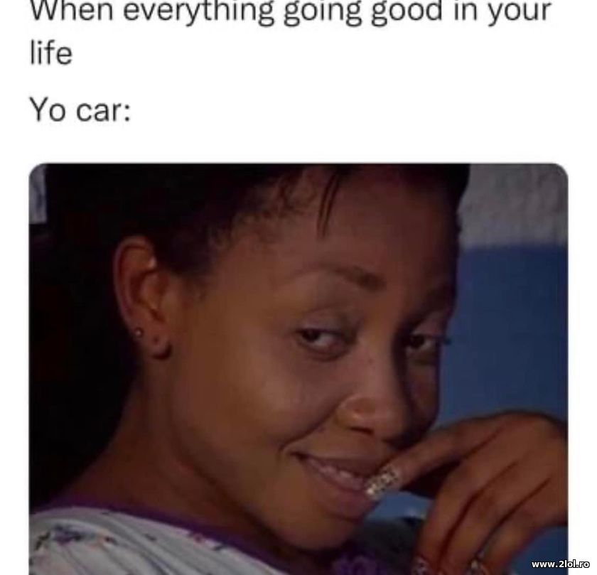 When everything going good in your live. Car | poze haioase