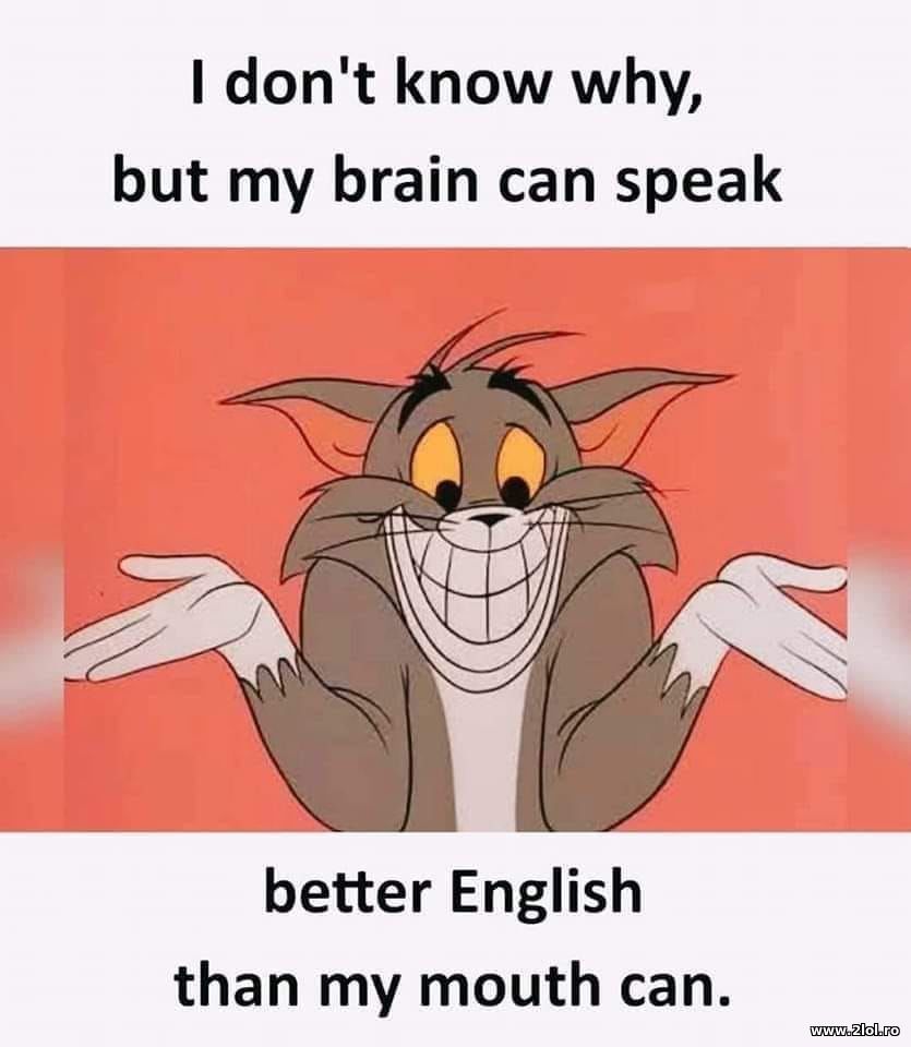 My brain can speak better than my mouth can | poze haioase