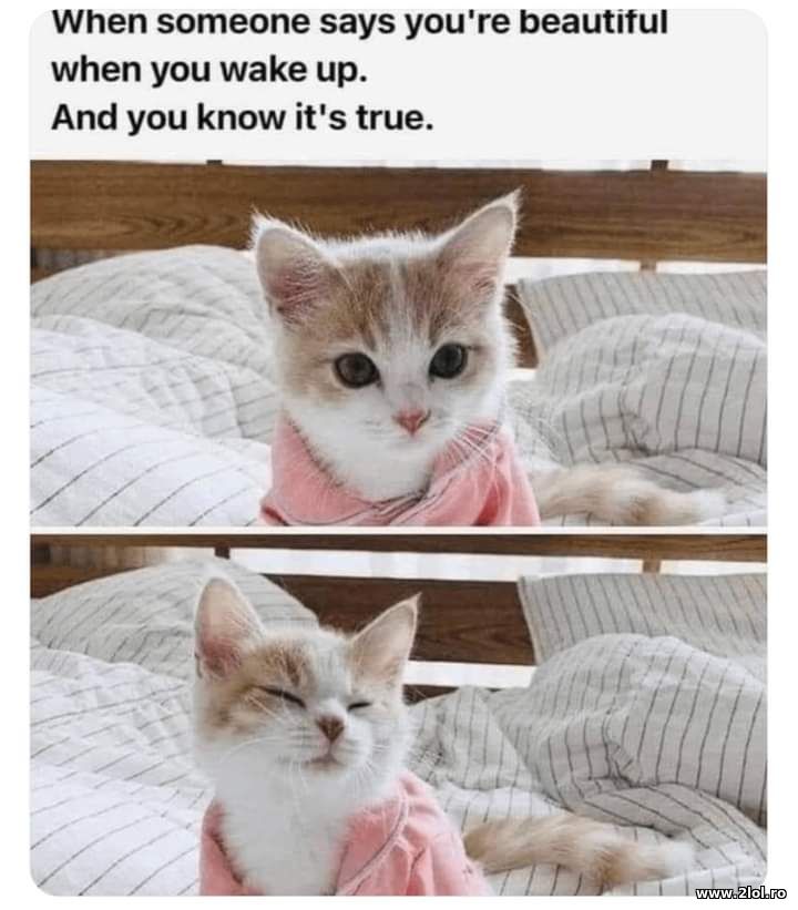 Someone says you're beautiful when you wake up | poze haioase