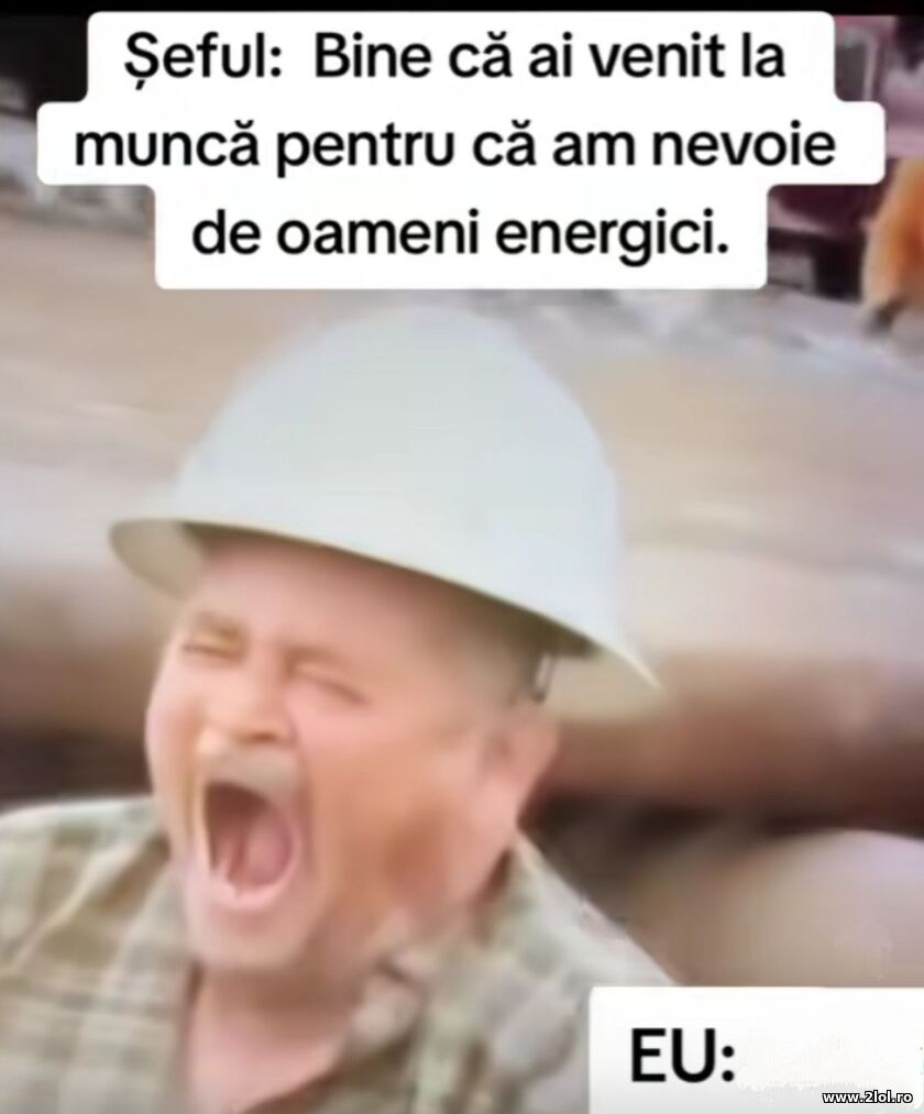 Bine ai venit la munca | poze haioase