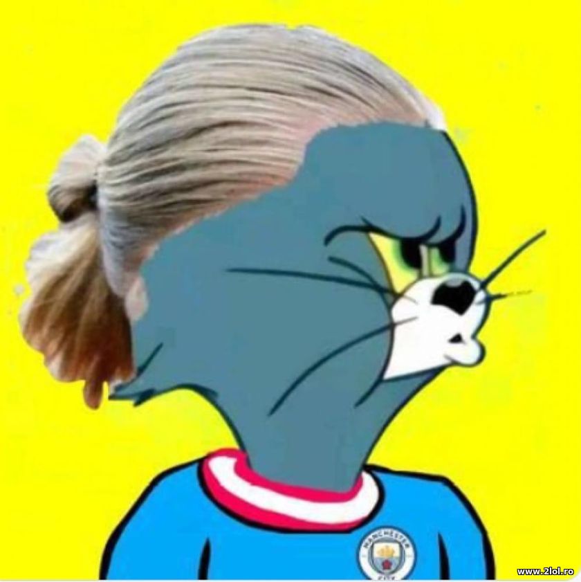 Erling Haaland Tom and Jerry | poze haioase