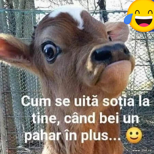 Cum se uita sotia cand bei un pagar in plus | poze haioase