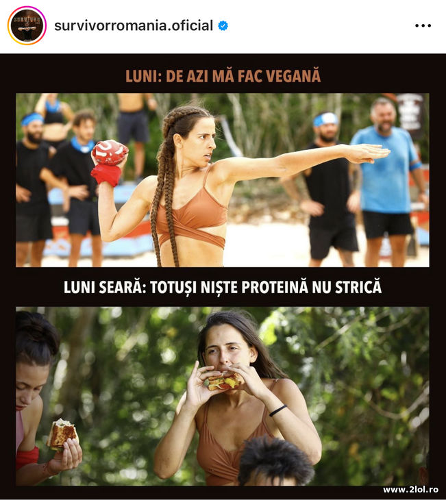 De azi mananc vegan | poze haioase