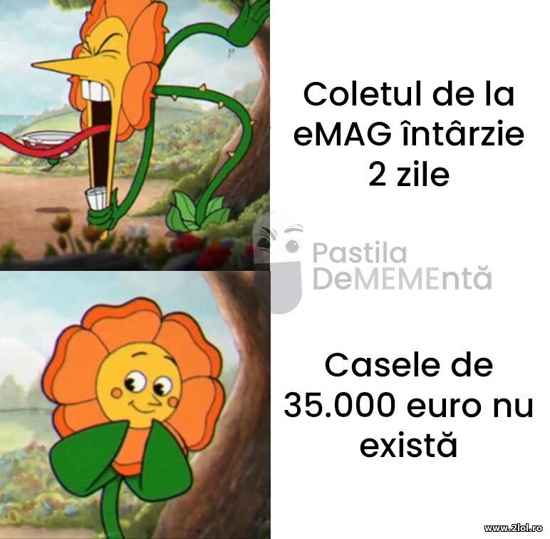 Coletul si casele | poze haioase