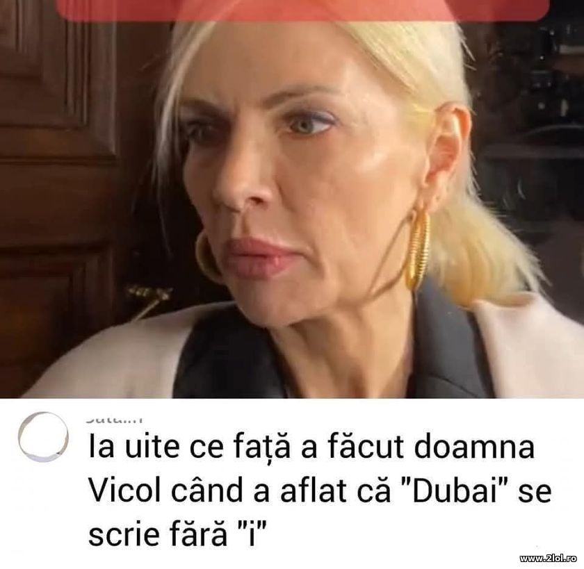 Laura Vicol Dubai | poze haioase