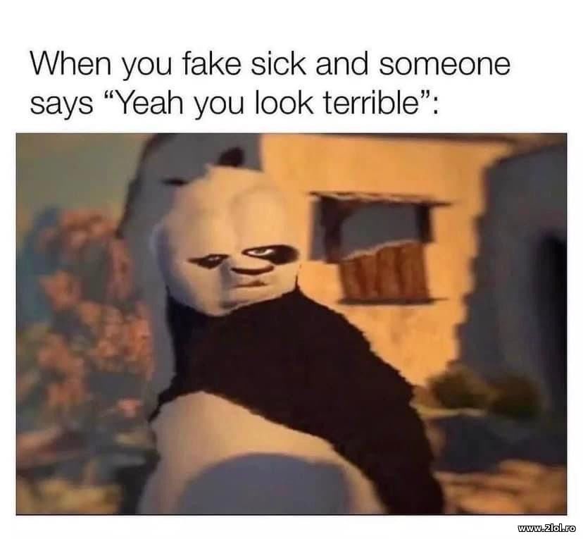 When you fake sick and someone says | poze haioase