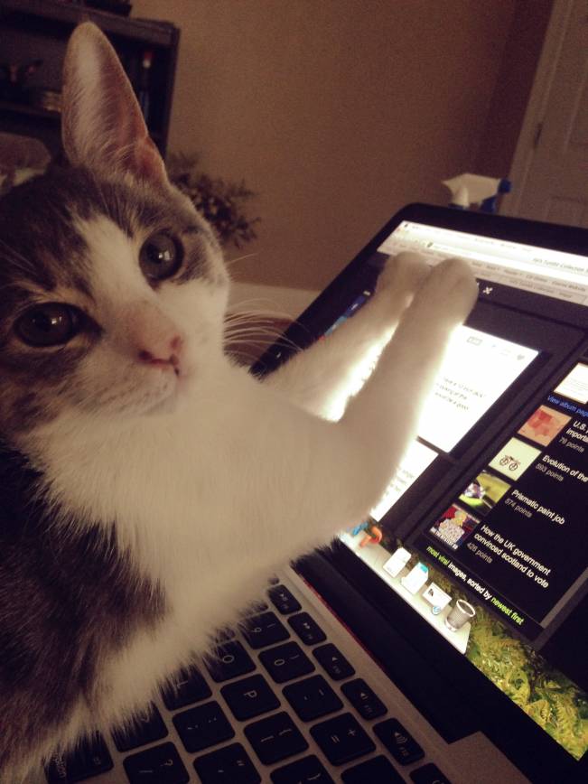 Când cineva vrea să vadă la ce mă uit | poze haioase