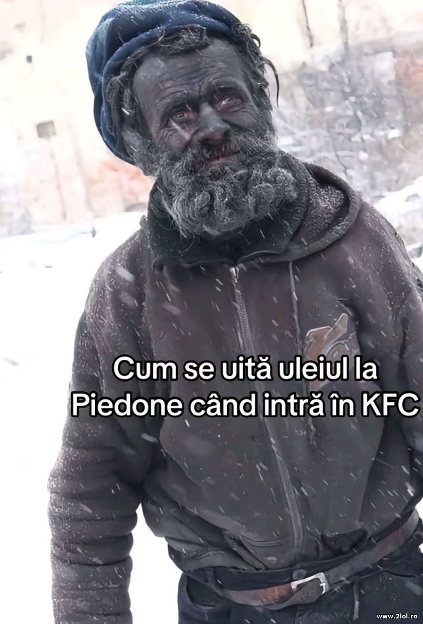 Cum se uita uleiul la Piedone can intra in KFC | poze haioase