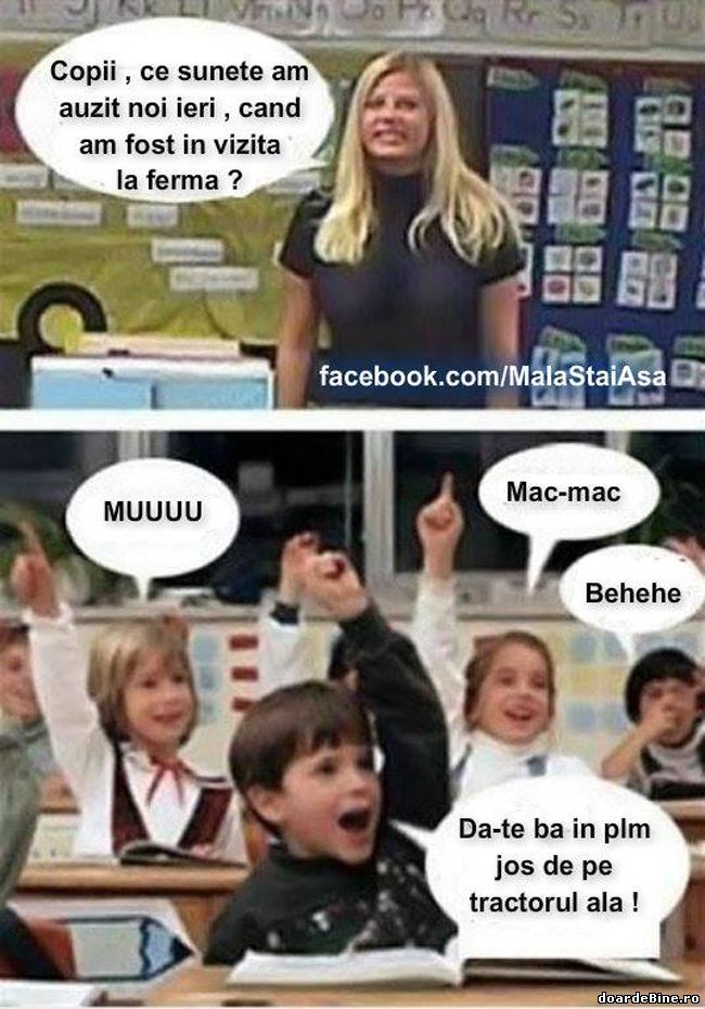 Ce sunete am auzit ieri la fermă | poze haioase