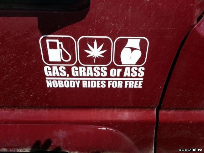 Nimeni nu se cară pe gratis | poze haioase