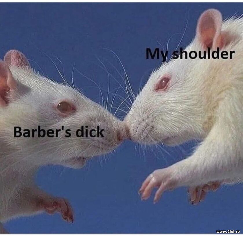 Barbers thing and my shoulder | poze haioase