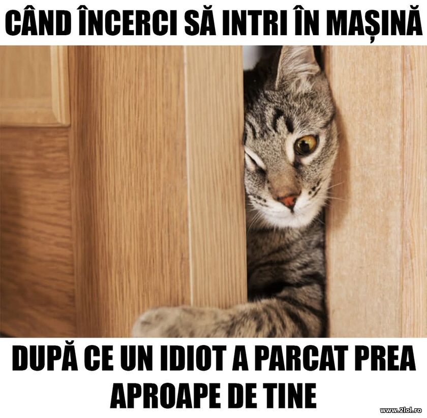 Cand incerci sa intri in masina | poze haioase