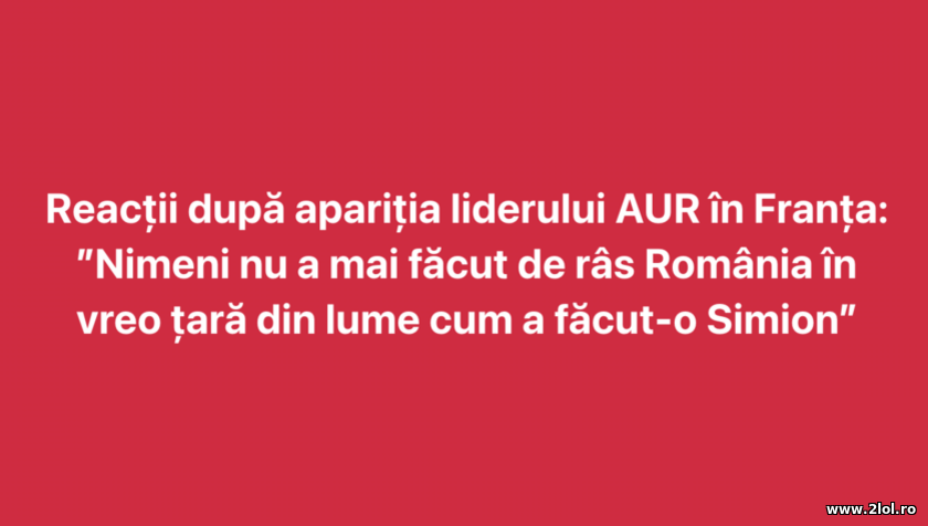 Dupa aparitia lui Simion in Franta | poze haioase
